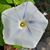 Laura Hillburn's profile image