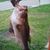 Kia Taylor's profile image