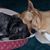 Lisa Ferron Dunn's profile image