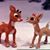 Cherrie Haswell's profile image