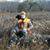 Charles Attard's profile image