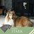 Diane Salvatore Tartaglia's profile image