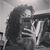 Sandra Iskandar Hampartsoumian's profile image
