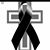 Marina Botello Gonzalez's profile image