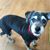Diane Neumaier's profile image