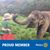 Gudrun Dybdal's profile image