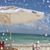 Sharonda Rytique Walthour-Browne's profile image