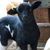 Mary McIntyre Ames's profile image