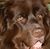 Carol Blazekovich's profile image
