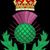 Thomas Cochrane's profile image