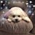 Connie Daley's profile image