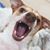 Mindy Ivey's profile image