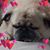 Barbara Housler's profile image