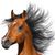Sue Carter's profile image