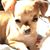 Jeanie Williams's profile image