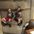Mona Knauer's profile image