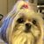 Debra Fletcher's profile image