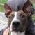 Teresa Summerfield-Brown's profile image