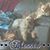 Nancy Oiler's profile image