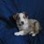 Deloris Stoen's profile image