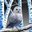 SacredOwl Page's profile image