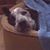 Wendy Vendersun's profile image