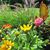 Dawn Kraft-Wetter's profile image
