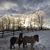 Mia Rickenbach's profile image