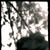 Lauren Grellner's profile image