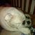Marcela Drennan's profile image