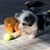 Maureen Wolverton's profile image