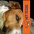 Bernando Grant's profile image