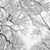 Elizabeth LaPierre Cyr's profile image