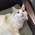 Betty Peters's profile image