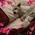Marla Wismer's profile image