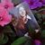 Gerri Houde's profile image