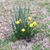Debra Laukaitis's profile image