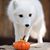 Natalie Prodan's profile image