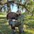 Morgan Penton's profile image
