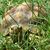 Maggie Estenson's profile image