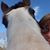 Laura Willeford Ferguson's profile image