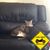 Theresa Eiler's profile image
