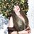 Tiffany Matheson's profile image