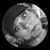 Becky Caspersen's profile image