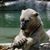 Maureen Fracchia's profile image