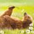 Lori Patterson's profile image