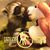 Lindy Mobley Williams's profile image