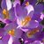 Melinda G Stevens's profile image