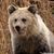 Clayton Wagley's profile image