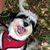 Bob Ballerstein's profile image
